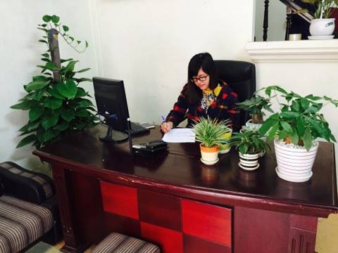 cho-thue-cay-canh-van-phong (1)